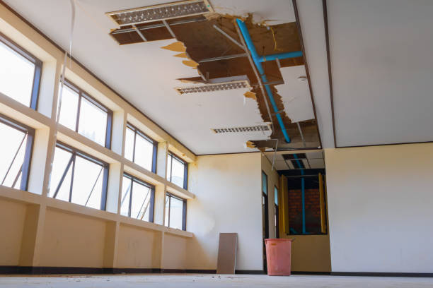 Best Water damage restoration near me  in Geneseo, IL