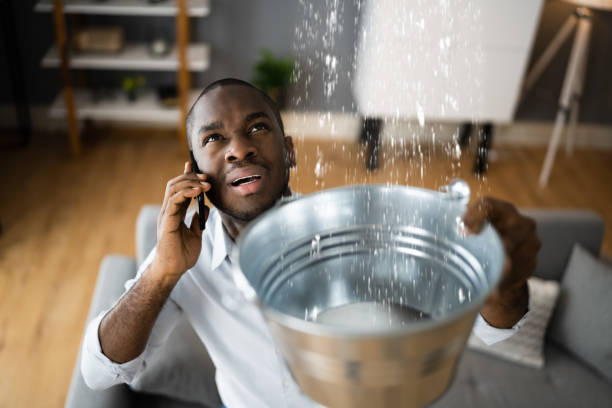 Best Water damage restoration near me  in Geneseo, IL