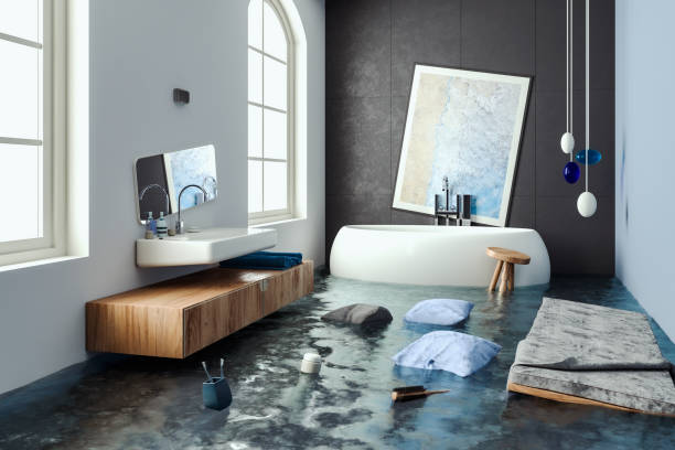 Best Water damage contractors near me  in Geneseo, IL