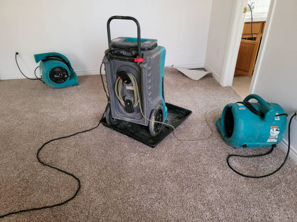 Best Flood damage cleanup  in Geneseo, IL