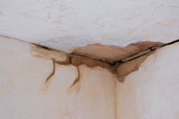 Best Fire Damage Restoration  in Geneseo, IL