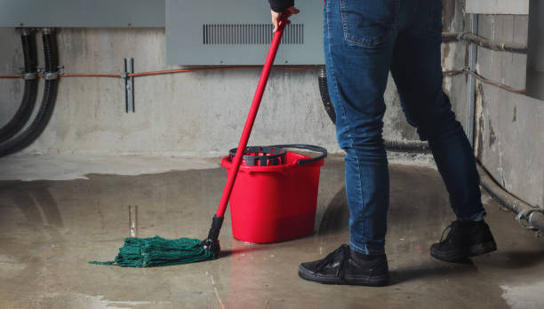Best Carpet water damage restoration  in Geneseo, IL