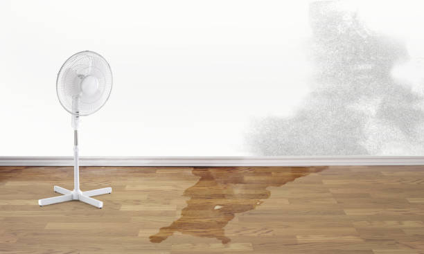 Best Sewage cleanup and water damage restoration  in Geneseo, IL