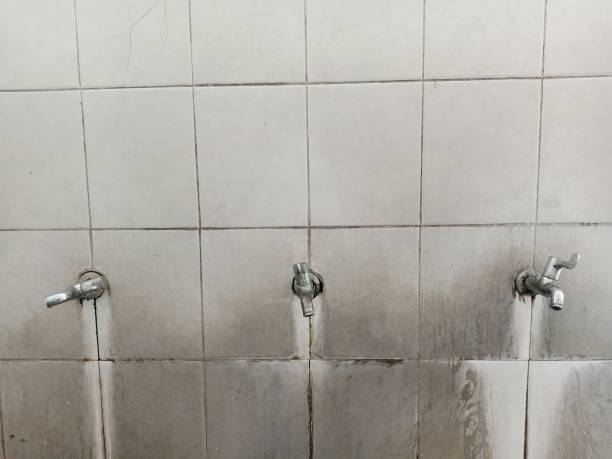 Best Emergency water damage restoration  in Geneseo, IL