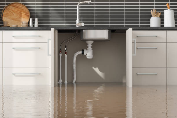 Best Ceiling water damage repair  in Geneseo, IL