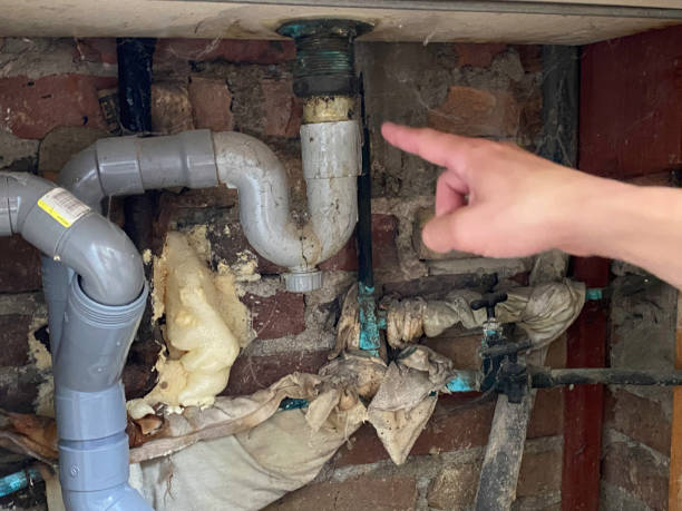 Best Emergency water damage restoration  in Geneseo, IL