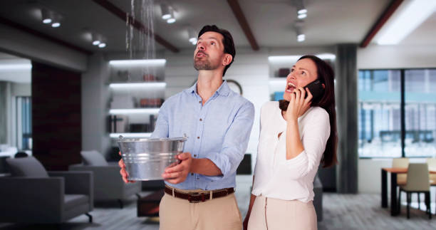 Best Water damage cleanup near me  in Geneseo, IL