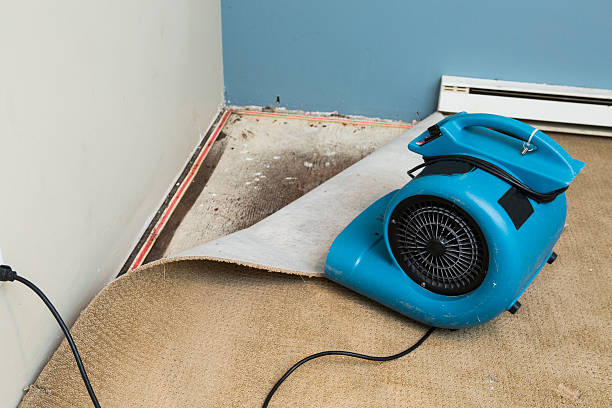 Best 24-hour water damage restoration  in Geneseo, IL
