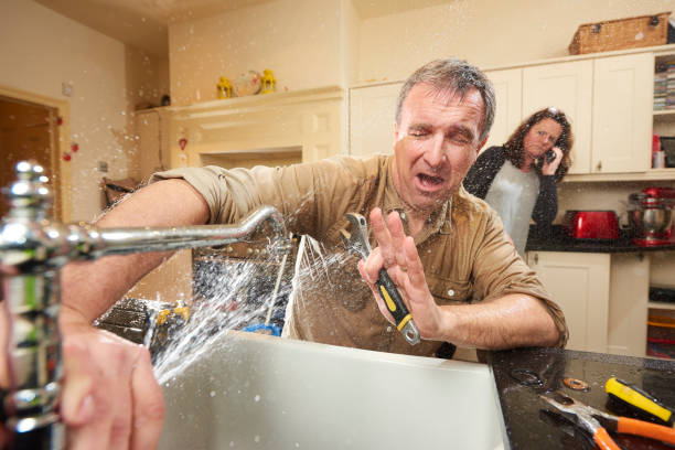 Best Mold removal after water damage  in Geneseo, IL